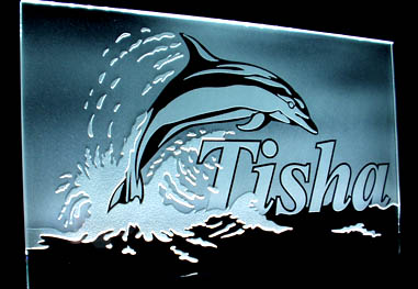 Dolphin sandblasted glass.